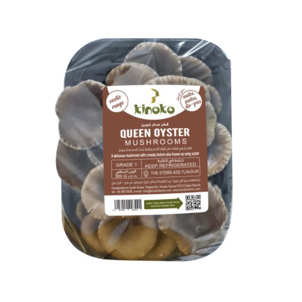 QUEEN OYSTER  MUSHROOM
